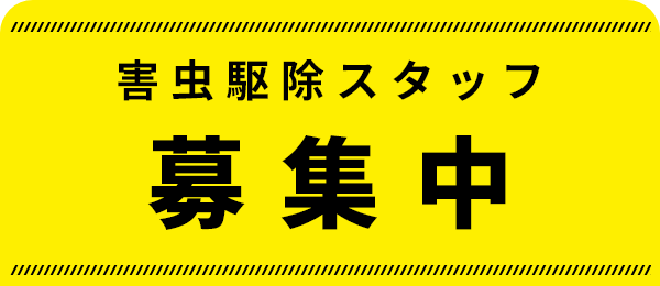 募集中
